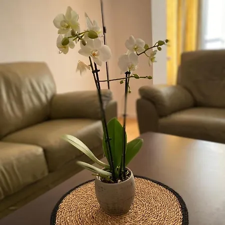 Mv & Garage - Self Check-in 아파트 티미쇼아라