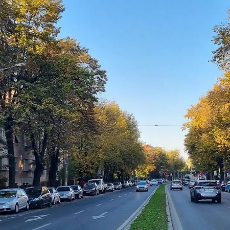 Mv & Garage - Self Check-in 아파트 티미쇼아라