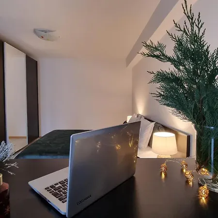 Mv & Garage - Self Check-in * 티미쇼아라