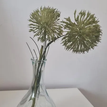 Mv & Garage - Self Check-in 아파트 *