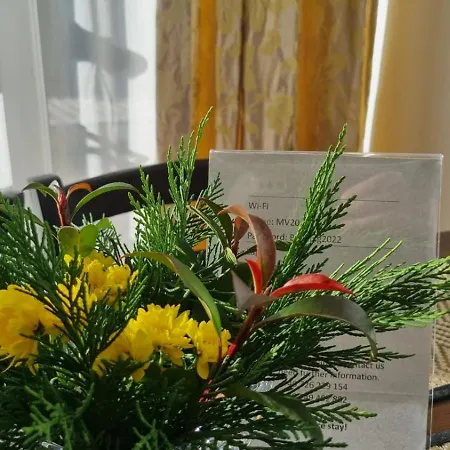 Mv & Garage - Self Check-in 티미쇼아라