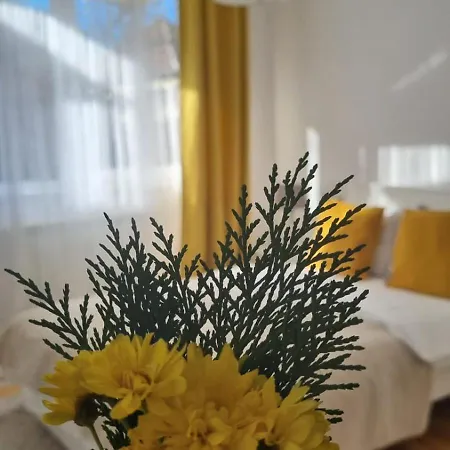 Mv & Garage - Self Check-in