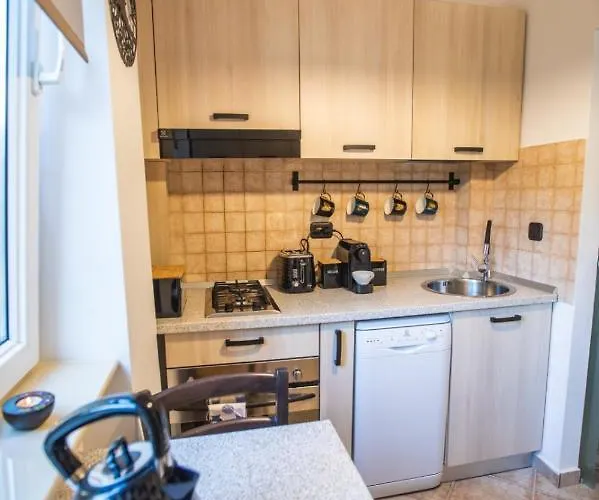 Mv & Garage - Self Check-in * Timişoara