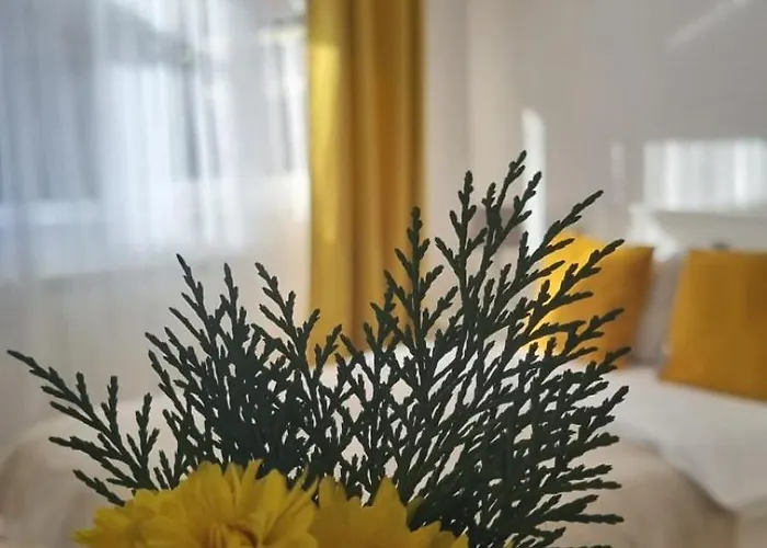 Mv & Garage - Self Check-in