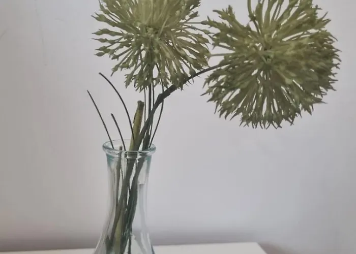 Mv & Garage - Self Check-in Lägenhet *