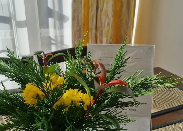 Mv & Garage - Self Check-in Timişoara